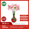 超值体验价!大球石蜡朱顶红 粉白花 顺丰包邮 昆明发货 商品缩略图0