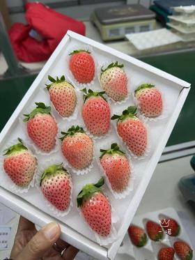 丹东白草莓