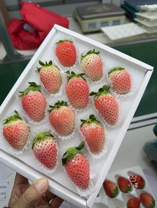 丹东白草莓 商品图0