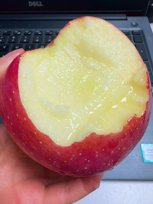 高山瑞雪苹果，店主每天2颗的好苹果，高海拔纯有机种植，年日照平均达2552小时，清甜松脆香气馥郁，咔嚓一口好满足。 商品图1