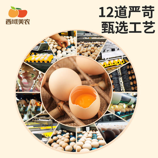 西域美农  omega-3 可生食无抗鲜鸡蛋30枚装  京东发货 商品图4