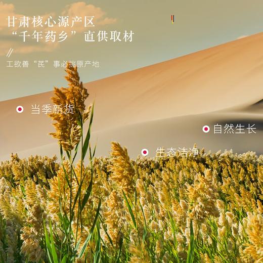 福东海 精选大金桶黄芪520克【大斜片】 商品图3