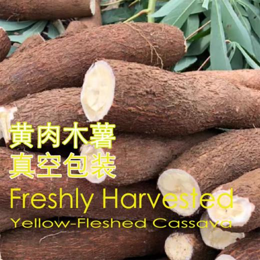 【拓高】广西黄心木薯5斤装 ✔新鲜采挖✔粉糯香甜 商品图0