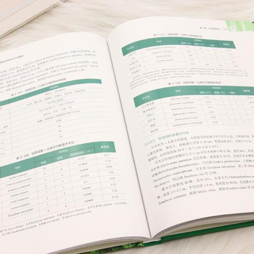 云南乌蒙山国家级自然保护区竹类植物 &3405 商品图5