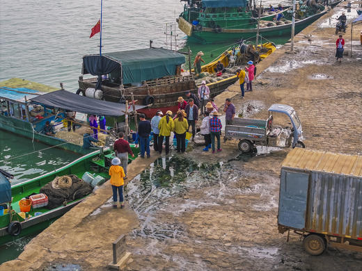 1月12/26日【徐闻】南极村•天成台•红树林候鸟3天（纯享送南航往返机票升级5天） 商品图6