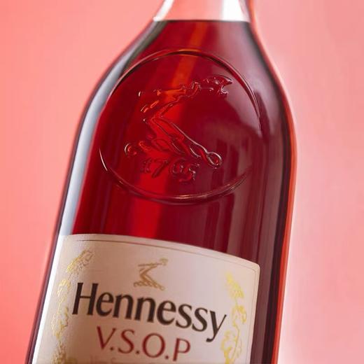 轩尼诗VSOP3000ml Hennessy干邑白兰地法国洋酒原装进口 大瓶装 商品图2
