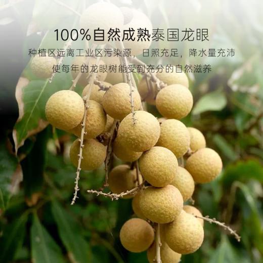 几分之几 泰国龙眼干 100g*2 商品图1