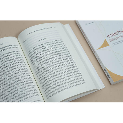 中国境外追逃追赃国际合作法律机制研究 刘杨著 法律出版社 商品图1