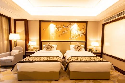 帕格森蒂两江假日酒店 高级间/豪华间 商品图1