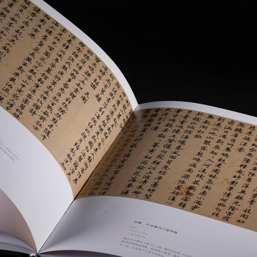 【特惠】《浙江书法大系 全16册》，16开精装，作者:中国美术学院中国画与书法艺术学院 编，上海书画出版社，2024年7月一版一印，定价：8800，售价：4099（原箱包邮） 商品图10