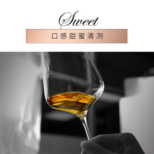【两只装慕拉红酒雷司令】冰白葡萄酒500ml礼盒装 果香浓郁冰酒白葡萄酒 商品图3