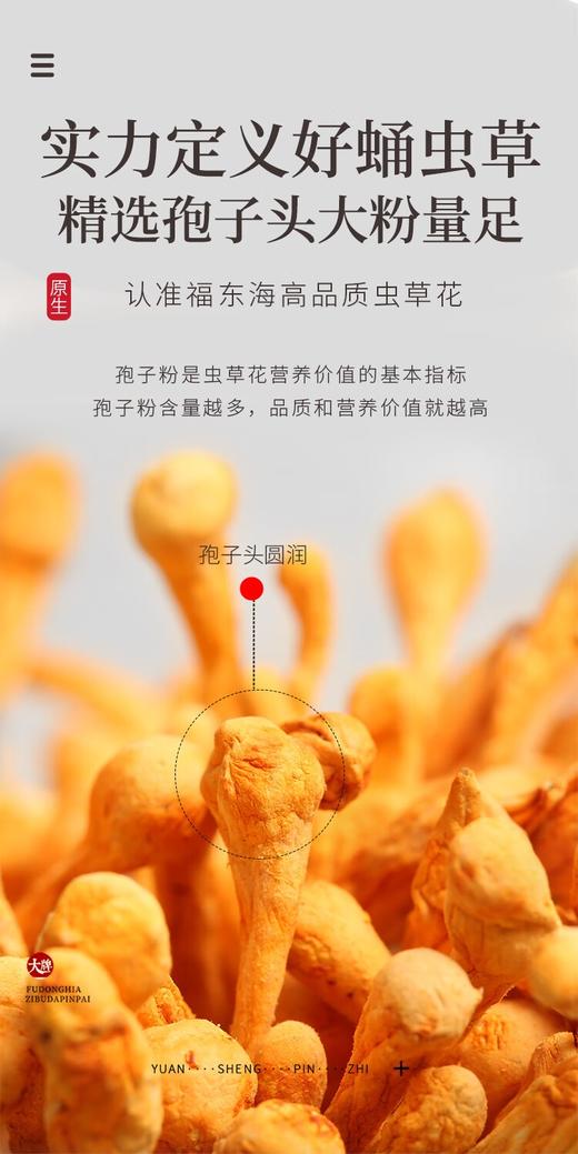 福东海 虫草花 250克/袋 【中秋】孢子头金虫草北虫草 蛹虫草花煲汤 送父母滋补干货送礼企业团购 商品图2