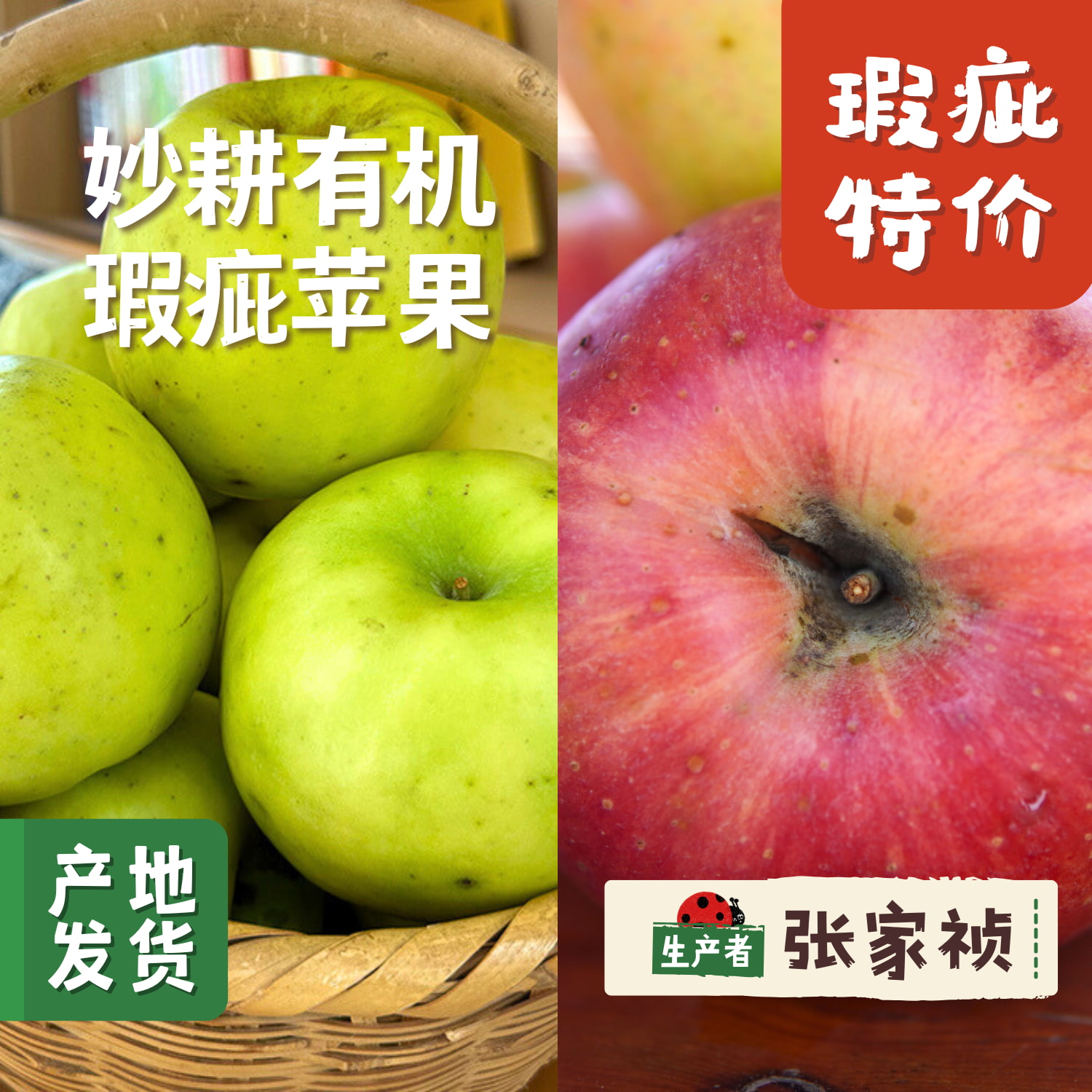 妙耕有机瑕疵苹果特卖 4.5-5斤 | 合作农友生产，产自陕西千阳，生产者：张家祯 *【公平贸易农人定价】无法售后理赔，售出后不退换货，对瑕疵在意的勿拍