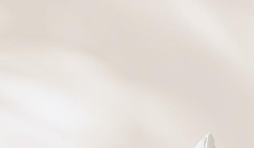 虚拟草莓 商品图0