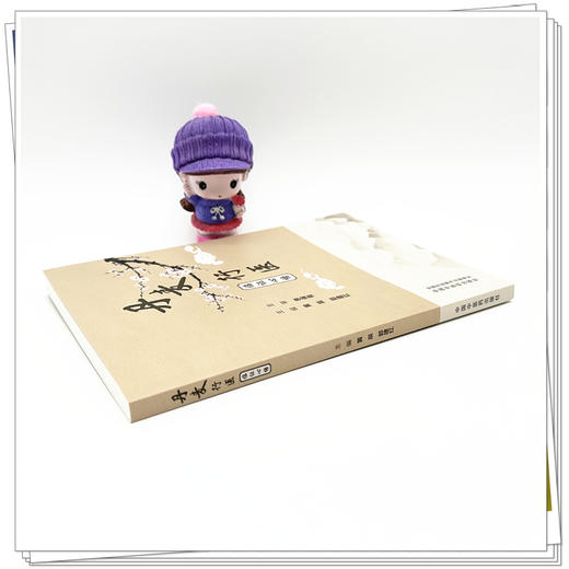 丹麦行医临证心悟 黄辰 郭建红 主编 中国中医药出版社 商品图2