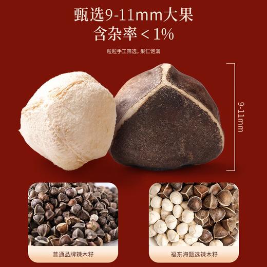 福东海 辣木籽300克 手工精选 饱满大果辣木子茶那木子纳木辣籽仁黑壳白果辣木子煲汤泡水熬粥 商品图3