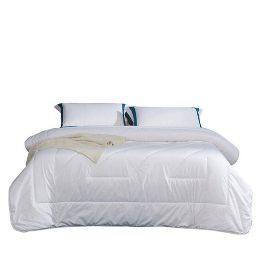 LOVO乐蜗-T-珍·悦 澳洲羊毛丝柔冬被 商品图4