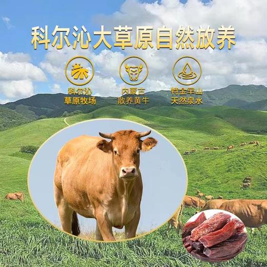 良西农场内蒙古手撕风干牛肉 麻辣味118g 商品图6