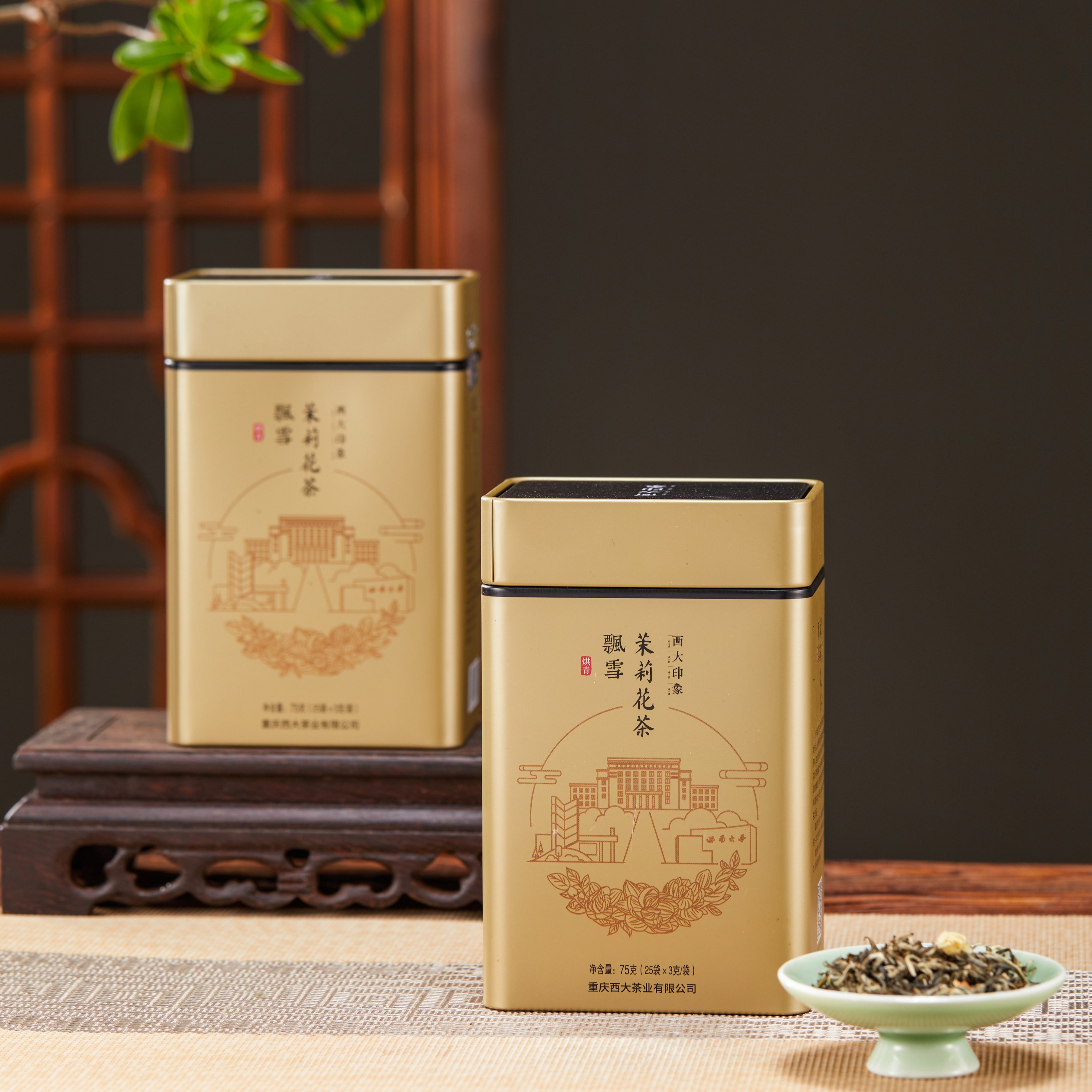 西大印象·飘雪