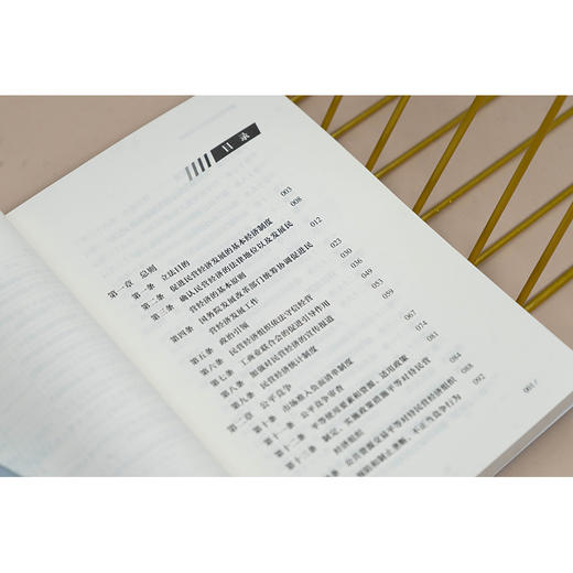 读懂中国民营经济促进法 陈云良主编 法律出版社 商品图2