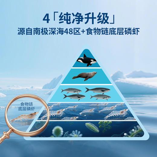 MegaRed脉拓精萃磷虾油750mg 80粒 商品图6