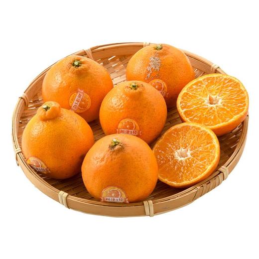 川津一号橘子 6粒/份 商品图2