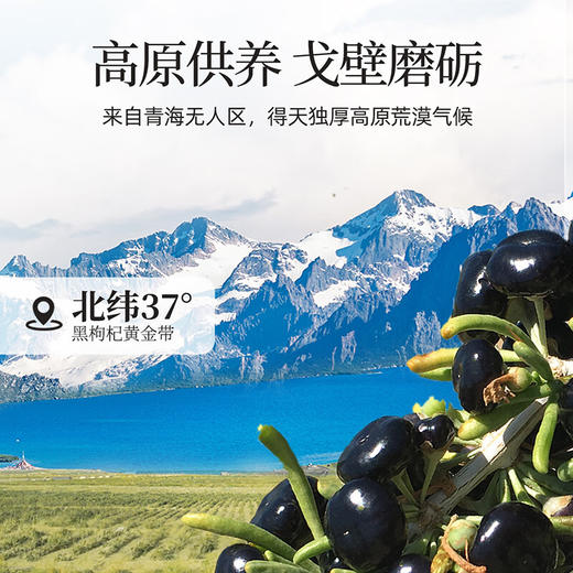 杞里香240g（3罐）礼盒装去柄黑枸杞 商品图5