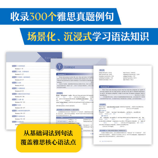 300个句子攻克雅思语法 商品图1