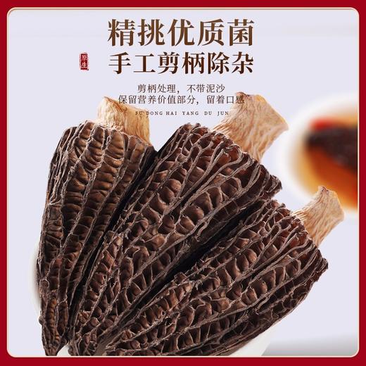 福东海 羊肚菌102克 商品图4