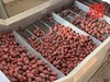 【新疆塔河原枣】不用化肥催长不打膨大剂 挂枝180天 自然风干 吃完嘴里不发黏，回味满是甘甜 商品缩略图0