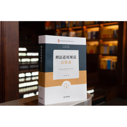 刑法适用规范总集成 李江林编 法律出版社 商品图0