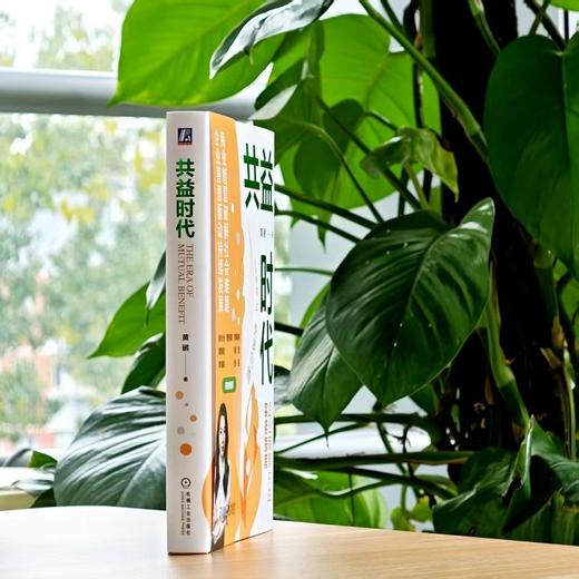 共益时代 黄鹂 企业商善共益实务指南 企业公益成长策略 公益实战 可持续发展 战略管理 企业经营管理书籍 商品图3