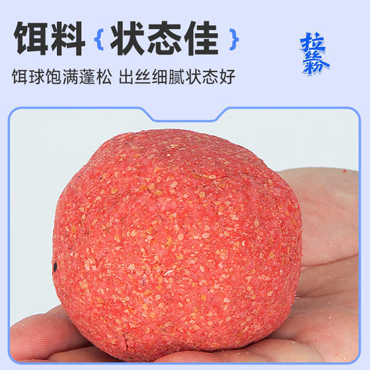 佳钓尼拉丝粉钓鱼专用拉大球粘粉饵料添加鲫鱼鲤鱼小麦高蛋白鱼饵 商品图1