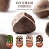 福东海 辣木籽300克 手工精选 饱满大果辣木子茶那木子纳木辣籽仁黑壳白果辣木子煲汤泡水熬粥 商品缩略图4