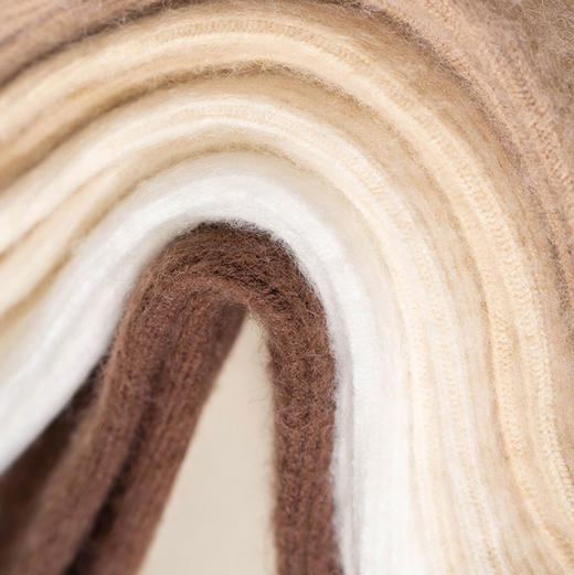 【五双】澄鱼生活秋冬拉毛简约羊毛袜 | 细腻柔软顺滑 保暖时尚 舒适有弹力 温暖不臃肿 商品图4