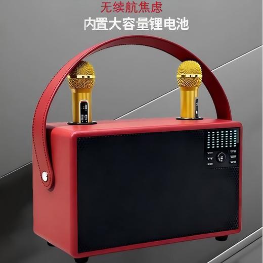 屁颠虫P8 德国技术 家庭KTV话筒音响套装 HiFi级音质 智能降噪 户外充电便携式 商品图4