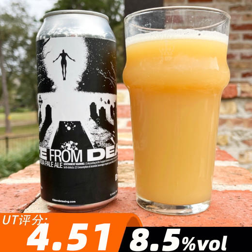 费登斯 亡境复醒 473ml 商品图0