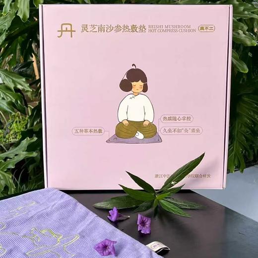 (包邮)真不二灵芝南沙参加热坐垫单盒装（不含礼袋） 商品图2