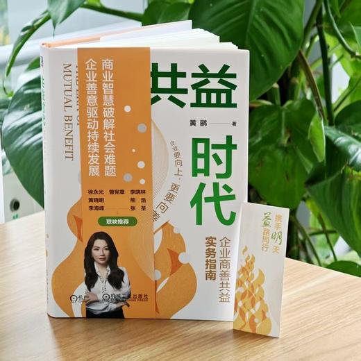 共益时代 黄鹂 企业商善共益实务指南 企业公益成长策略 公益实战 可持续发展 战略管理 企业经营管理书籍 商品图4