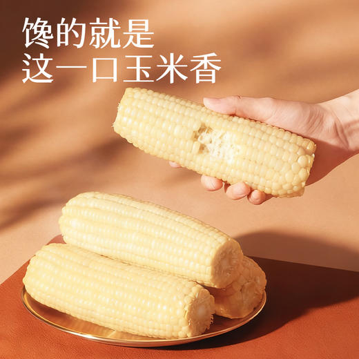 三胖蛋白甜糯玉米228g*6/10袋组合 商品图2