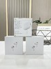 水果AirPods Pro2 无线蓝牙耳机，送官方挂绳和硅胶保护套！2025年刚来的外贸订单尾巴， 商品缩略图0