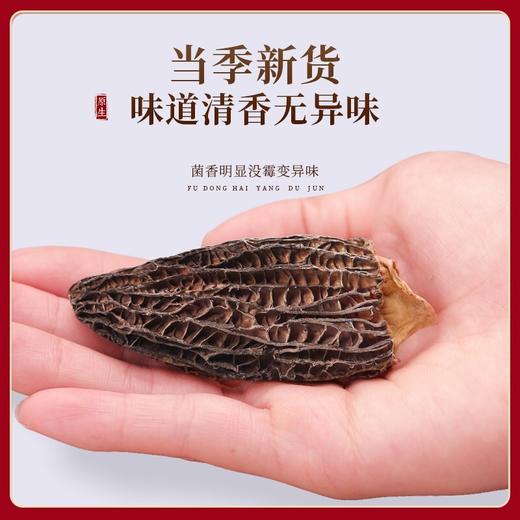 福东海 羊肚菌102克 商品图2