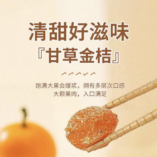 甘草金桔蜜饯酸甜可口果脯零食100克 商品图3