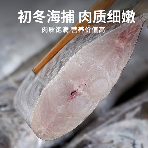 【舟山雷达网 野生大带鱼】 无需去鳞！舟山原产地发货 顺丰冷链配送 整条套袋 独立包装 无冰净重（中带，大带，顶带可选） 商品图4