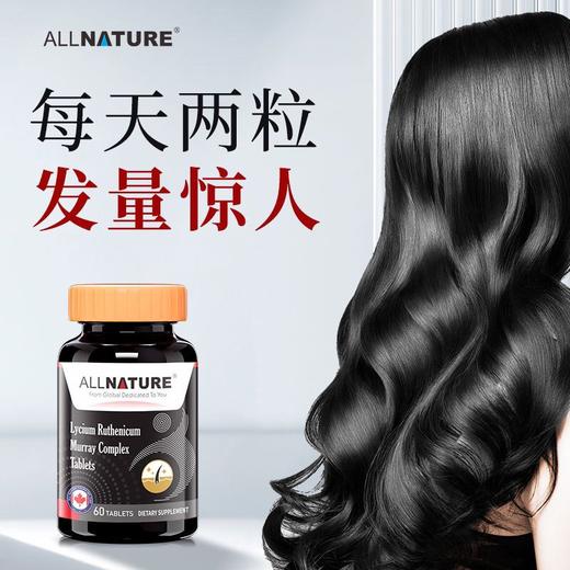 安美奇黑果枸杞复合片1g×60片 商品图0