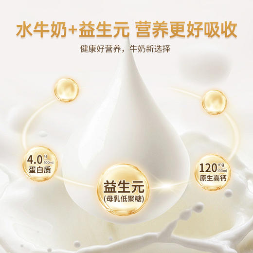 良西农场水牛益牛乳200ML*10盒/20盒 商品图5