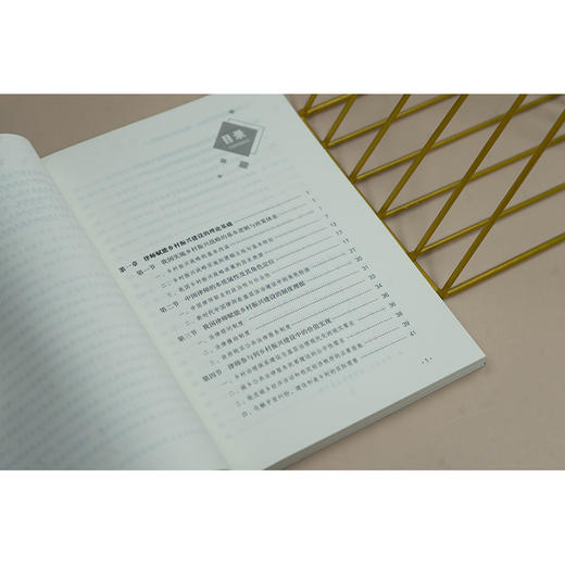 律师赋能乡村振兴建设：理论基础与实务指引 陈金标著 法律出版社 商品图3