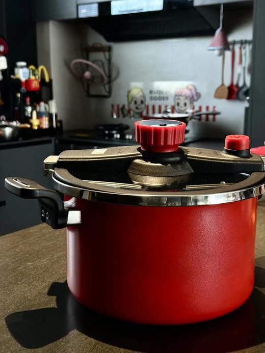 velosan的珐琅微压锅（6L） |锅身一体成型，能炖下一整只鸡鸭，焖、煲、炖、煮全 hold 商品图2