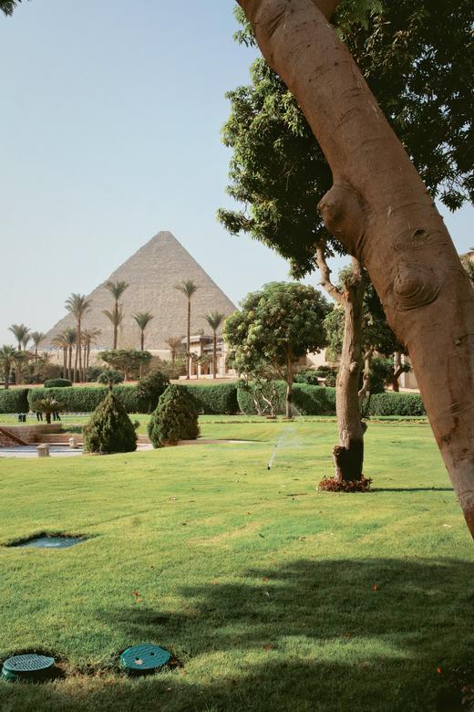 1.31-2.11【法老童行】12天9晚埃及亲子游学产品！尼罗河古埃及文明探秘/大埃及博物馆、卢克索神庙课堂 / 埃及文化体验、沙漠冲沙、红海自然探索+埃及博物馆国际专家+本地专业导游超强阵容 商品图7