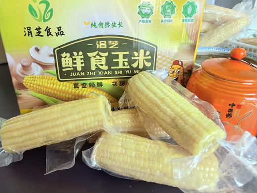 涓芝鲜食白糯玉米8棒/箱（300G/棒） 商品图0